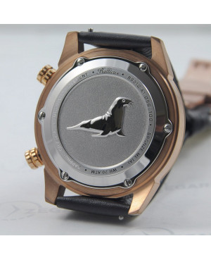 BALTICUS Grey Seal Brąz zegarek męski Zegaris Rzeszów