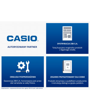 CASIO Casio Collection AQ-180WD-1BVES Zegaris Rzeszów