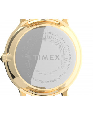 Zegarek TIMEX TW2U19100