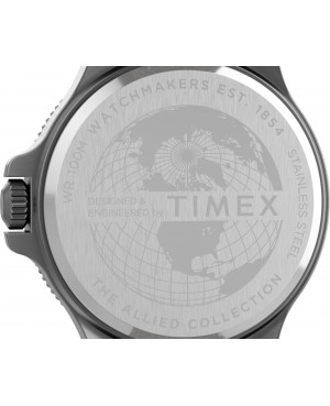 Zegarek TIMEX TW2U10700
