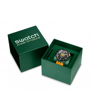 pudełko Swatch SB03G107 FALL-IAGE