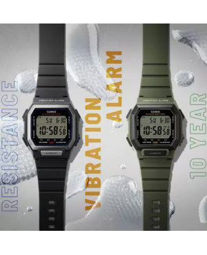 Zegarek męski Casio Timeless W-738H-1AVEF